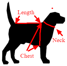 how to measure a pet